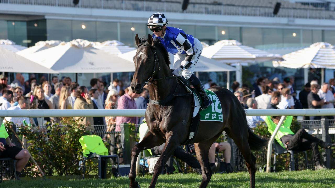 Caulfield Cup: Ciaron Maher And David Eustace Have Smokin' Romans And ...