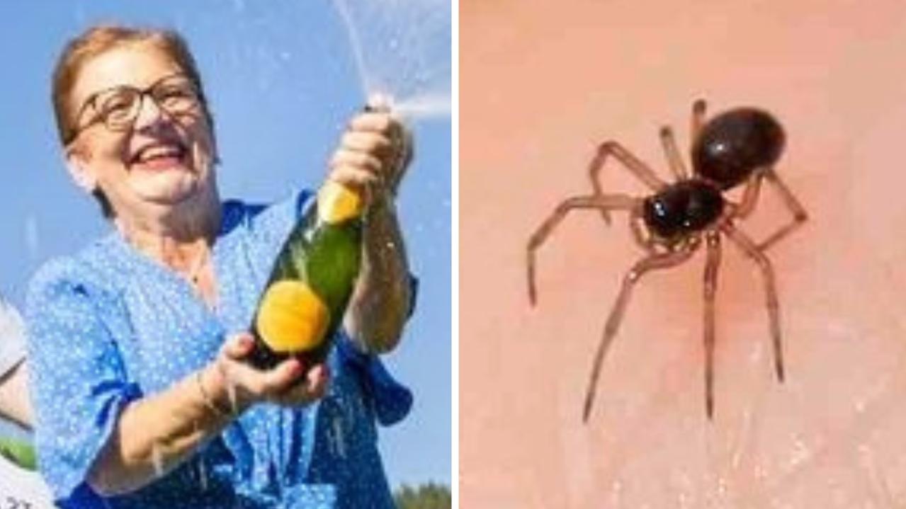 Grandma wins $7 million jackpot after spotting two money spiders
