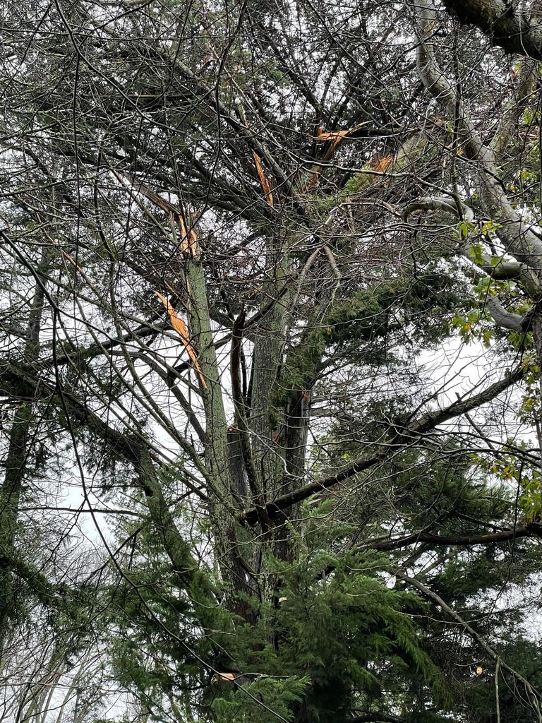 Damage after wild storms destroyed homes and left towns without power in parts of Victoria. Picture: Zoe Phillips