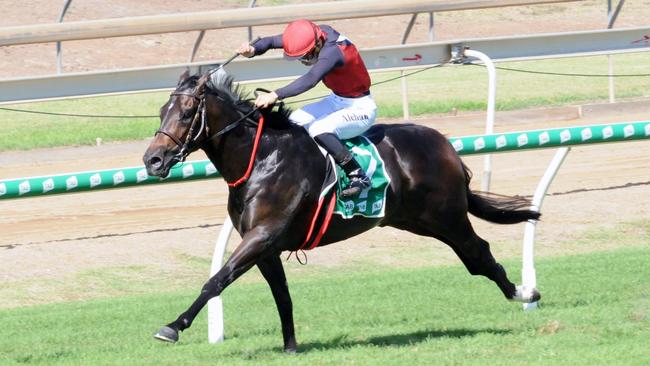 Firebox ridden by Allan Chau for trainer Michael Costa at Ipswich races. Costa will hope stablemate La Pulga can make a run at the Iron Jack Grafton Cup. Picture: Claire Power