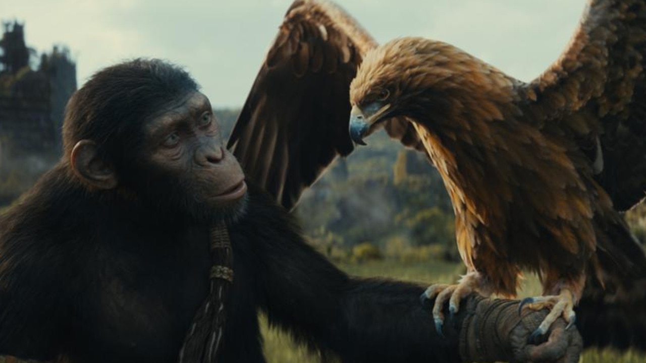 Kingdom of the planet of the apes was also produced in Australia. Picture: courtesy of 20th Century Studios. © 2023 20th Century Studios. All Rights Reserved