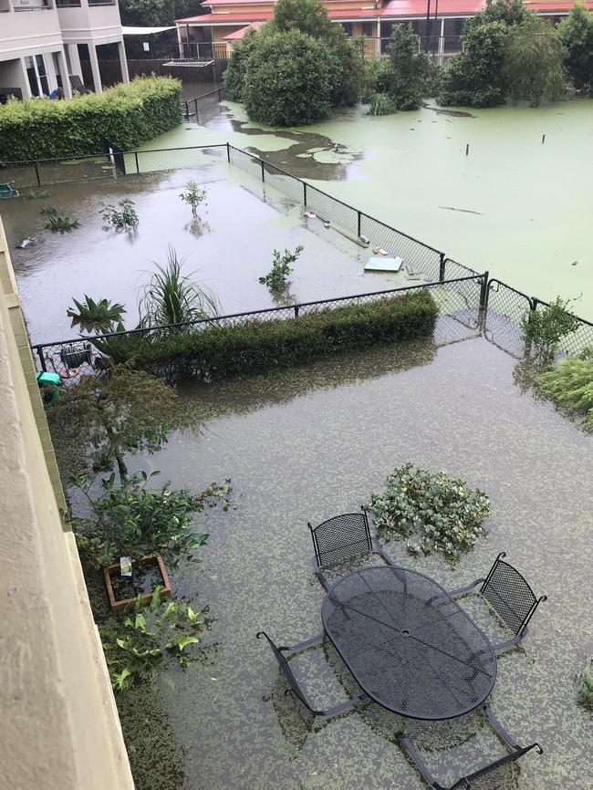 Susan Green and her partner were affected by the rain as their Nelson Bay home flooded. Picture: supplied.