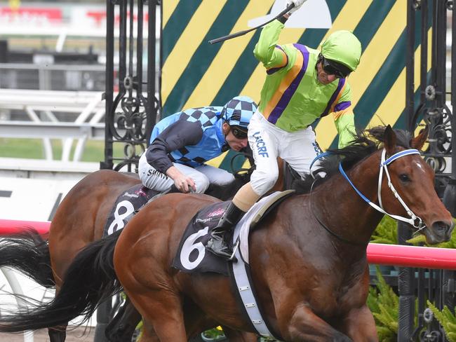 Kinglike looks a decent proposition down the Flemington straight. Picture: Tony Gough