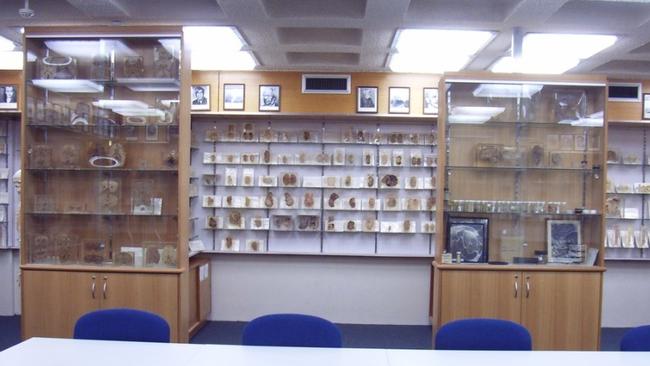 R.A. Rodda Museum of Pathology. Picture: University of Tasmania