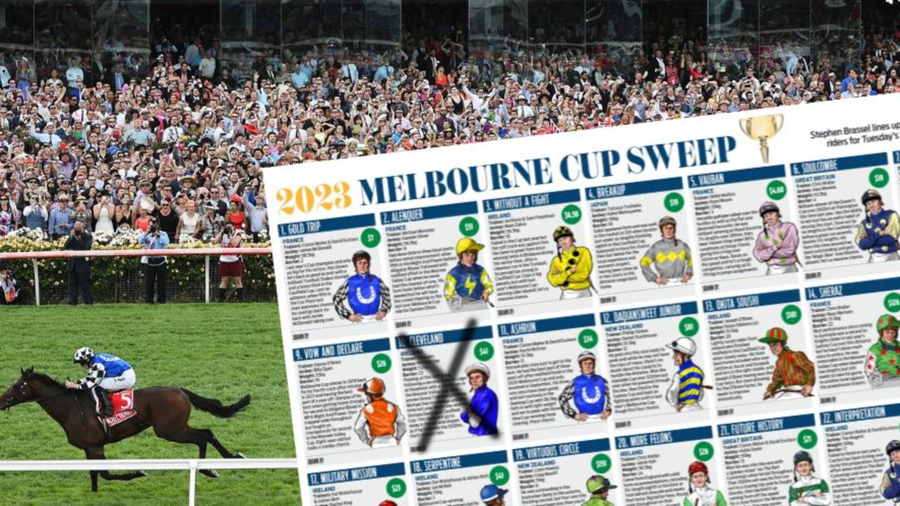 Melbourne Cup 2024 Sweep Results - Angy Mahala