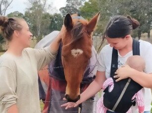 Layla Wolfenden and Brittney Dugdale have turned their friendship into an incredible business helping sick and injured horses across the state. (Photo: File)