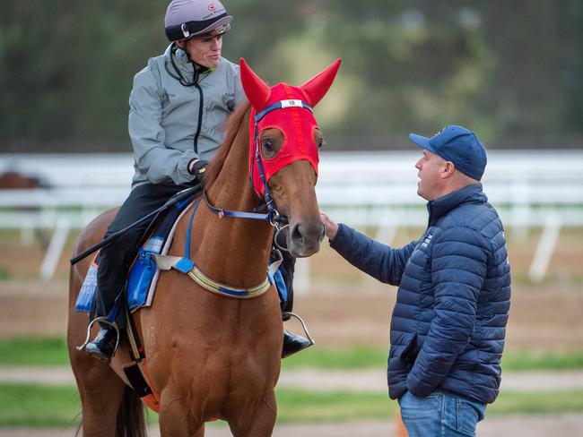 O'Brien and jockey Craig Williams discuss Vow And Declare’s trackwork session.