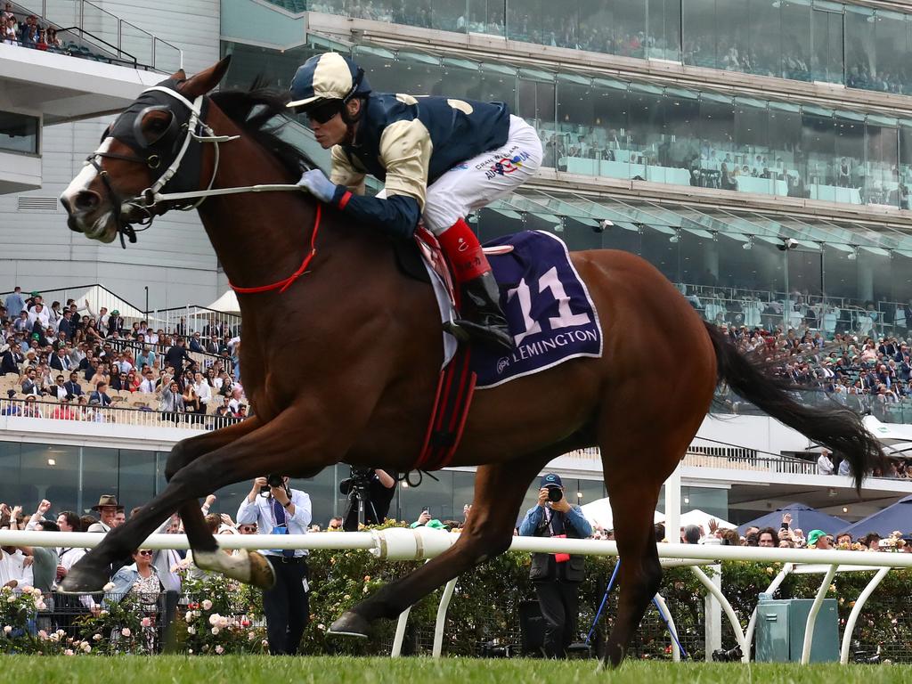 The Chris Waller trained Soulcombe is a Melbourne Cup favourite. Picture: Robert Cianflone