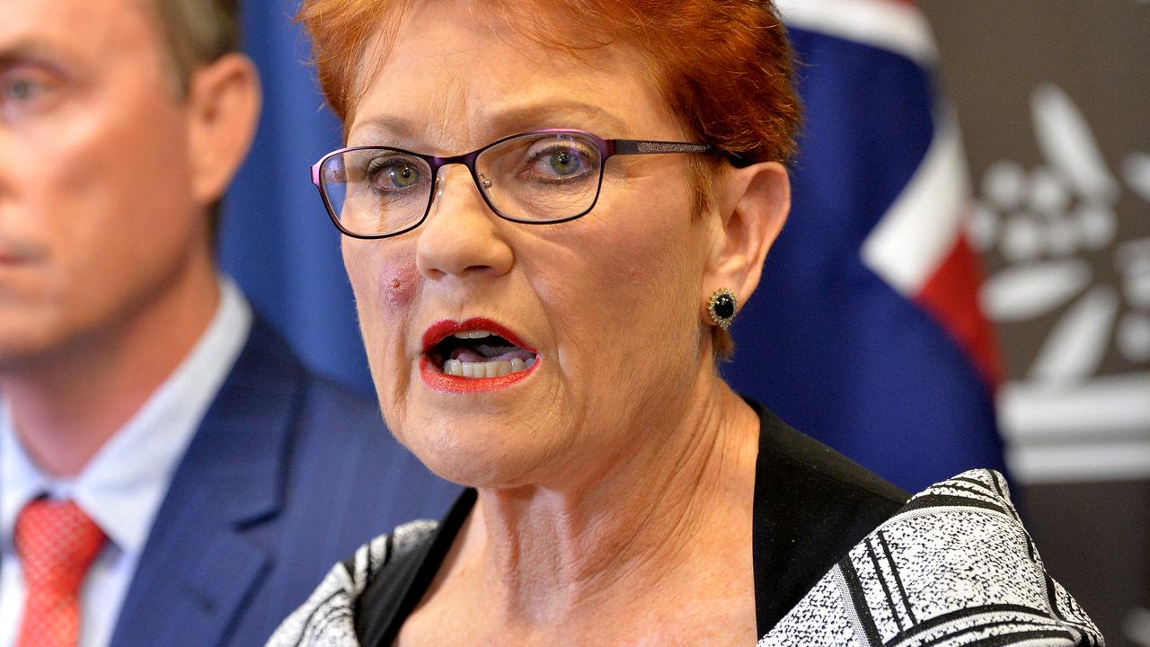 One Nation leader Pauline Hanson. Picture: Bradley Kanaris/Getty Images