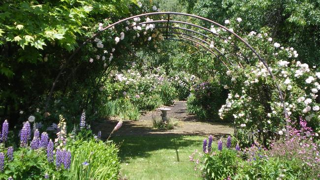 Rosedown Garden For WAP Open Garden 28 Feb Image supplied