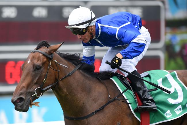 Jockey Dan Griffin rode Ligreb to victory in Saturday’s Maiden Handicap (1100m) at the Gold Coast. Picture: Steve Holland.