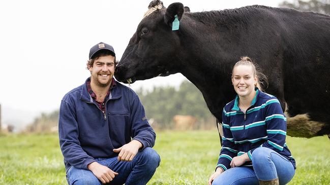 Dumbalk dairy farmers Jason Riley and Meagan Faltum with their milking herd. Jason has received one of 24 grants awarded through the first round of Woolworths' Dairy Innovation Fund.