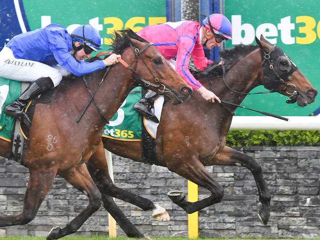 Boldinho ridden by Mark Zahra wins the Marcus Oldham College BM70 Handicap at Geelong Racecourse on October 25, 2023 in Geelong, Australia. (Photo by Pat Scala/Racing Photos via Getty Images)