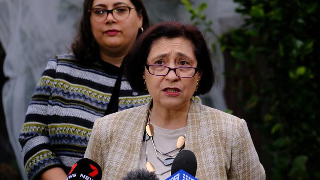 Victorian Energy Minister Lily D'Ambrosio during a press conference in Melbourne. Picture: Luis Enrique Ascu