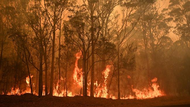 A bushfire burns in the town of Moruya, south of Batemans Bay on January 4. Photo: Peter Parks/AFP