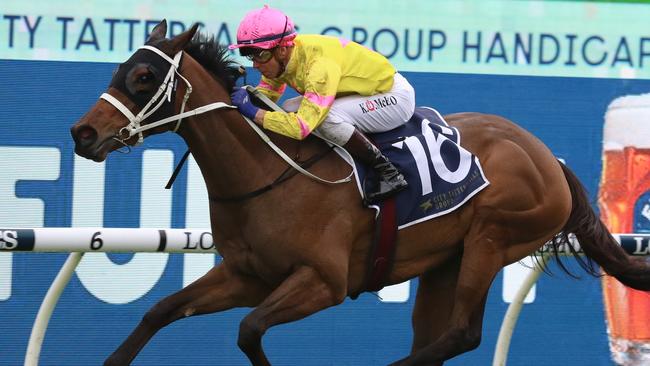 Finepoint looks a great chance in the Group 3 Angst Stakes. Picture: Grant Guy