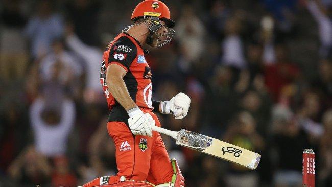 Dan Christian celebrates against the Sydney Sixers. Picture: Michael Klein