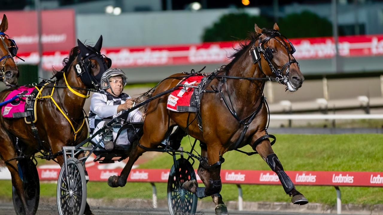 Free Thinker will be driven by Grant Dixon