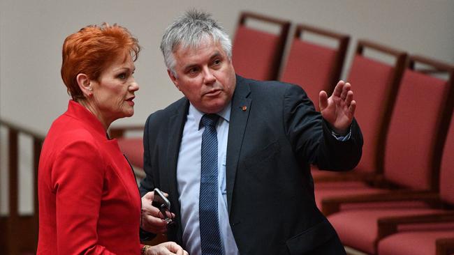 One Nation leader Senator Pauline Hanson and Independent Senator Rex Patrick. Picture: AAP