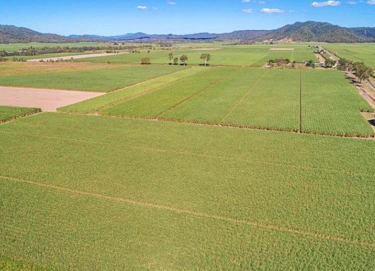 REVEALED: Dozens of Mackay region cane farms listed for sale | The