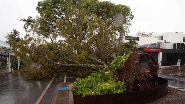 Trees blown down by TC Jasper in Port Douglas. Picture: Liam Kidston