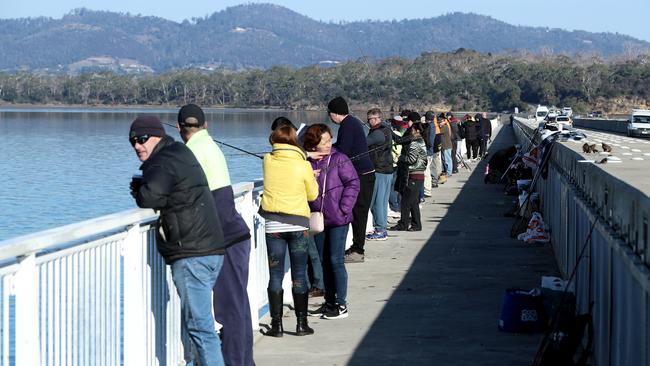 McGees Bridge at Midway Point causeway packed with fishermen. Picture: LUKE BOWDEN