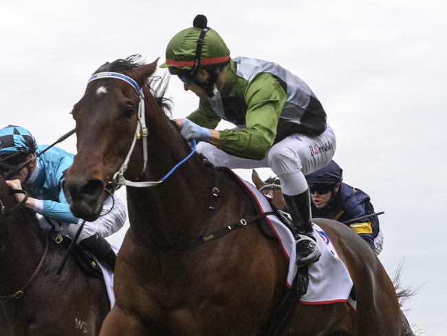 MELBOURNE, AUSTRALIA - SEPTEMBER 11: Brett Prebble riding Incentivise defeats Jye McNeil riding Mo'unga and Ben Allen riding Sir Dragonet in Race 8, the Pfd Food Services Makybe Diva Stakes, during Melbourne Racing at Flemington Racecourse on September 11, 2021 in Melbourne, Australia. (Photo by Vince Caligiuri/Getty Images)