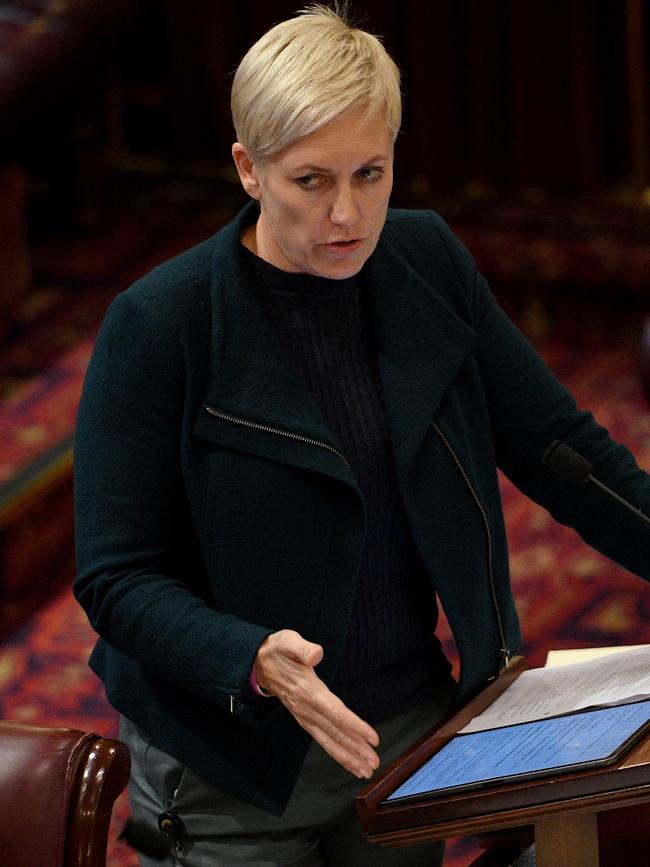 NSW Greens MP Cate Faehrmann expressed the frustration of rural and remote people in her dissenting report. Picture: Dan Himbrechts