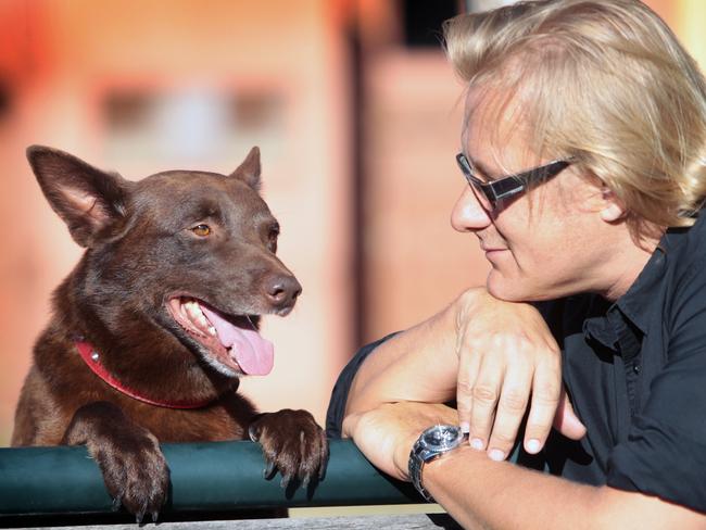 Film Director Kriv Stenders with "Koko", the star of his new movie about a dog in the Pilbara.