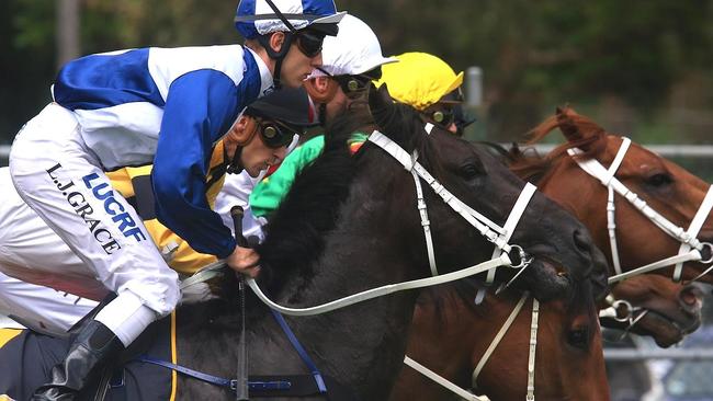 Saturday racing at Canterbury