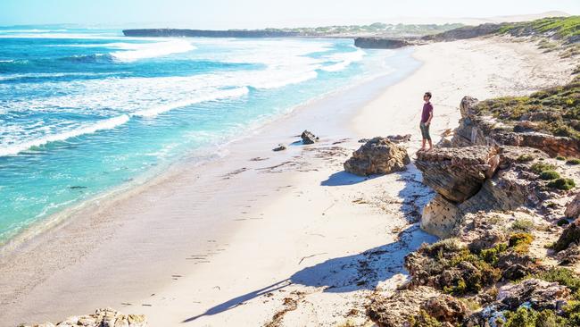 Cactus Beach is a renowned SA surfing destination.