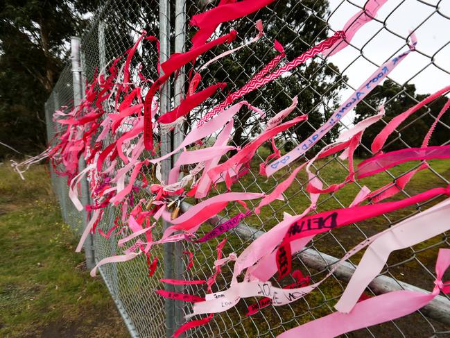 Pink ribbons in support of kangaroo relocation have been put up around Epping. Picture: Tim Carrafa