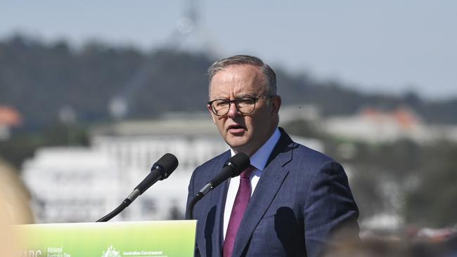 Prime Minister Anthony Albanese says the voice will be sculpted by Indigenous leaders, but the No campaign says it will have little impact on parliamentary democracy.