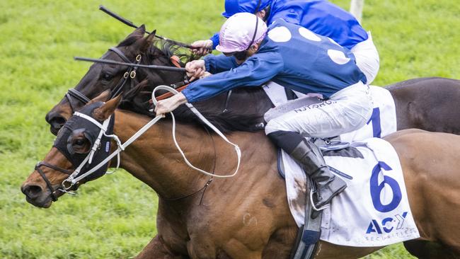 No Compromise wears down Lackeen at Rosehill. Picture: Getty Images