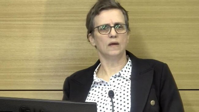 Dr Ingrid Moeller at the commission of inquiry.