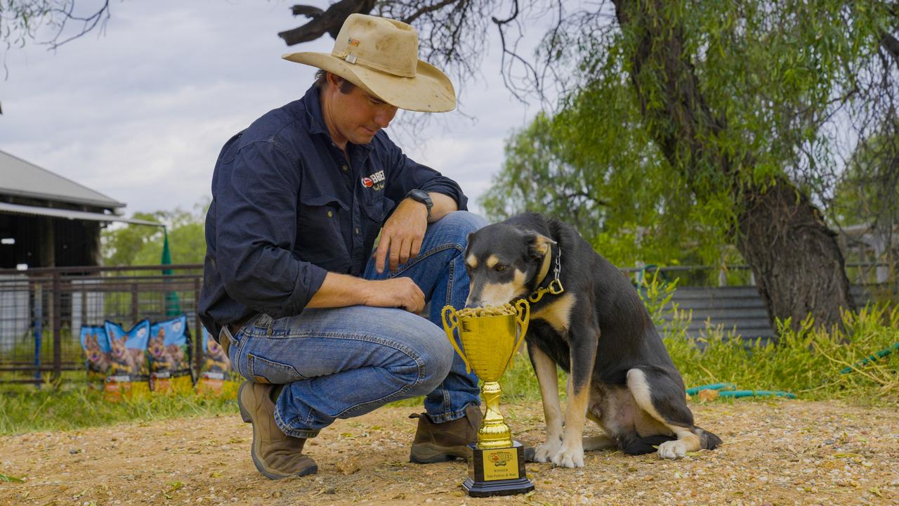 Bear ran more than 570km in the two weeks of the competition. Photo: Cobber Challenge.