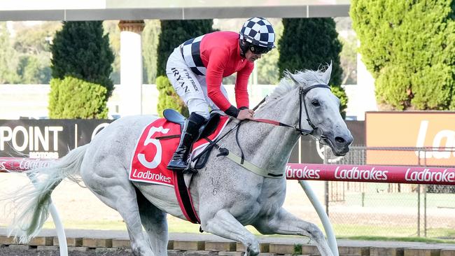 Queen Takes King (NZ) ridden by Tom Ryan wins the THE ROAD TO JERICHO at Moonee Valley Racecourse on November 15, 2024 in Moonee Ponds, Australia. (Photo by George Salpigtidis/Racing Photos via Getty Images)