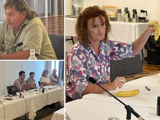 Farmers told theÂ parliamentary committee their mental health was suffering and up to 40 per cent of their crop was being wasted due to theÂ âstand over tacticsâ used by the Big 4 supermarkets.