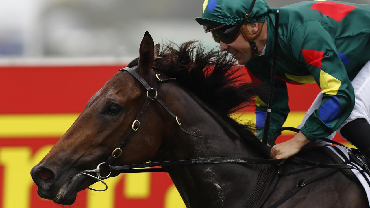 Alligator Blood has settled in well at Flemington. Picture: Getty Images