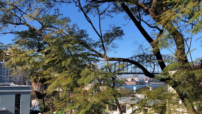 A photo of one of the views from a neighbour’s home.