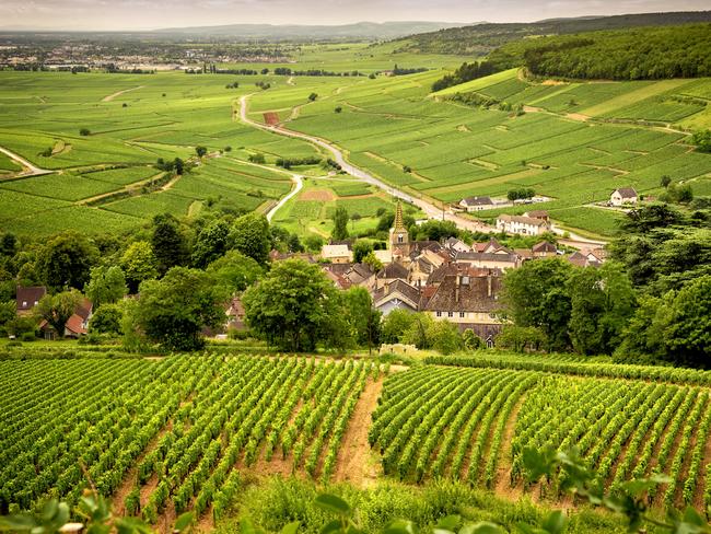 Burgundy, a panoramic road that crosses the wine region and makes us know the major producers and their vineyards