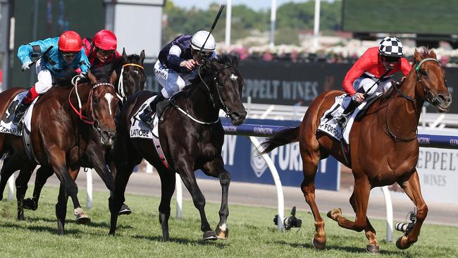 Latrobe (white cap) ridden couldn’t run down Trap For fools in the Mackinnon. Pic: Michael Klein