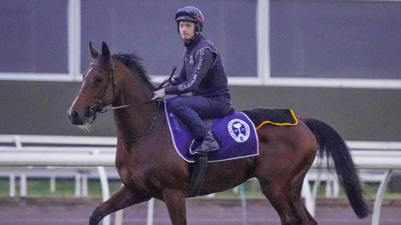 Loft, at trackwork during the week, has been ruled out of the Melbourne Cup. Picture: Racing Photos via Getty Images