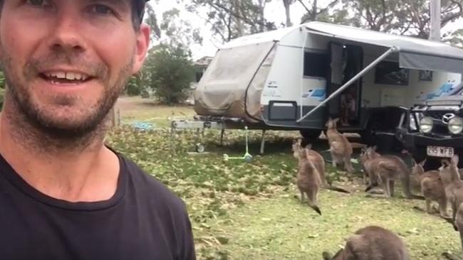 The locals sure are friendly in Jervis Bay.