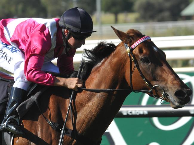 19.12.2015 Ascot Races. race 7 No. 11 Delicacy ridden by William Pike wins the C.B.Cox Stakes.