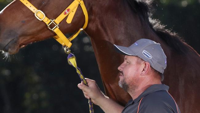 Reigning Townsville Cup winner Stephen Massingham has Follow Suit in Friday's 2020 version of the race. PICTURE: STEWART McLEAN.