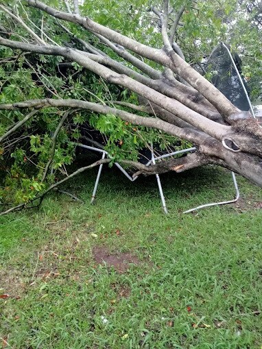 Trampoline crushed by tree in Ipswich. Photo: Kathy McNamara