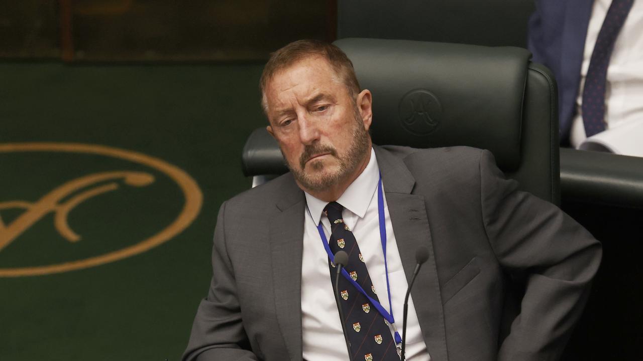 Andrew Jenner, Jacqui Lambie Network member for Lyons. Picture: Nikki Davis-Jones