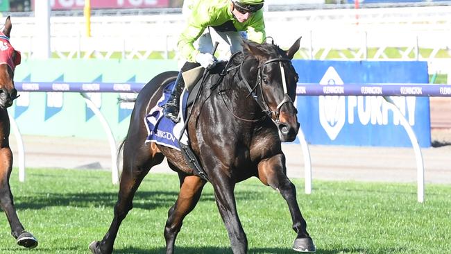 Navy King (NZ) ridden by Daniel Stackhouse wins the Sir Henry Bolte Handicap at Flemington Racecourse on May 18, 2024 in Flemington, Australia. (Photo by Brett Holburt/Racing Photos via Getty Images)