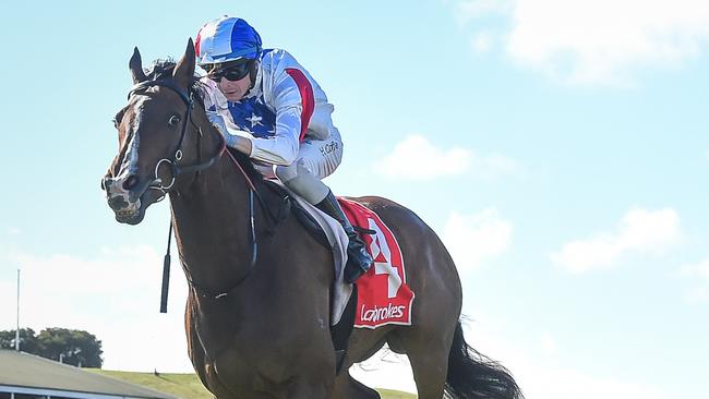 Mystery Island won easily at Warrnambool last Sunday and will back-up in Saturday’s $300,000 Coastal Classic at Geelong. Picture: Racing Photos via Getty Images